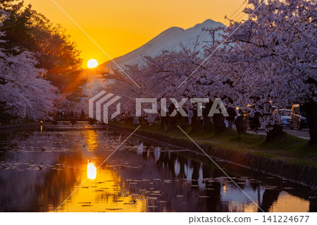 Hirosaki Park, Shimoshirogane-cho, Hirosaki City, Aomori Prefecture: A sunset view of the fully bloomed Somei Yoshino cherry trees along the outer moat of Hirosaki Castle and the snow-capped Mt. Iwaki. Hirosaki Park, Shimoshirogane-cho, Hirosaki City, Aomori Prefecture: A sunset view of the fully bloomed Somei Yoshino cherry trees along the outer moat of Hirosaki Castle and the snow-capped Mt. Iwaki. 141224677