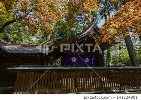 大山神社的春天 大山神社的春天 141224901