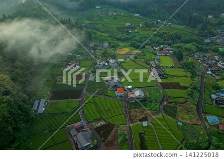 An aerial photograph overlooking the tea plantations and settlement of Tanoguchi, Shizuoka Prefecture. An aerial photograph overlooking the tea plantations and settlement of Tanoguchi, Shizuoka Prefecture. 141225018