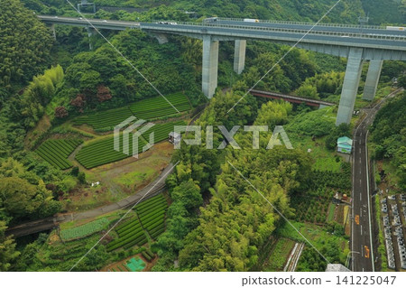 一張空拍照片,展現了靜岡縣的高速公路天橋和茶園。 一張空拍照片,展現了靜岡縣的高速公路天橋和茶園。 141225047