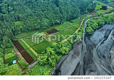 An aerial photograph showing tea plantations spread along the river near Shiogo in Shizuoka Prefecture, viewed from an oblique angle. An aerial photograph showing tea plantations spread along the river near Shiogo in Shizuoka Prefecture, viewed from an oblique angle. 141225107