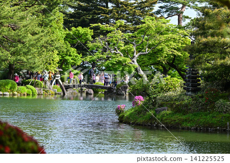春日兼六園綠意盎然,景色宜人。 春日兼六園綠意盎然,景色宜人。 141225525