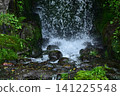 The beautiful greenery of Kenrokuen Garden in spring 141225548