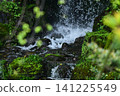 The beautiful greenery of Kenrokuen Garden in spring 141225549