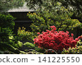 The beautiful greenery of Kenrokuen Garden in spring 141225550