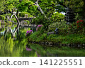 The beautiful greenery of Kenrokuen Garden in spring 141225551