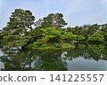 The beautiful greenery of Kenrokuen Garden in spring 141225557