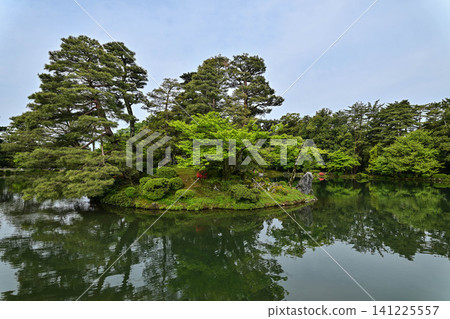 春日兼六園綠意盎然，景色宜人。 141225557