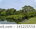 The beautiful greenery of Kenrokuen Garden in spring 141225558