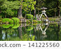 The beautiful greenery of Kenrokuen Garden in spring 141225560