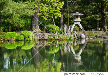 春日兼六園綠意盎然,景色宜人。 春日兼六園綠意盎然,景色宜人。 141225560