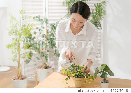 A woman holding a foliage plant A woman holding a foliage plant 141225648