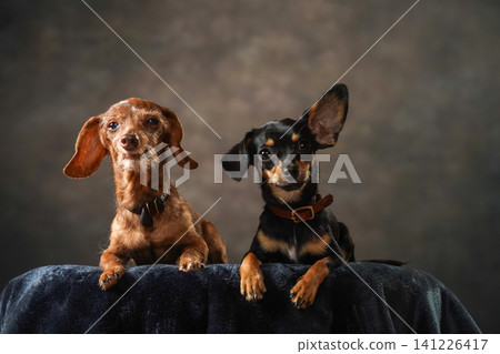 Kanin Hendax's Simple Studio Portrait 141226417