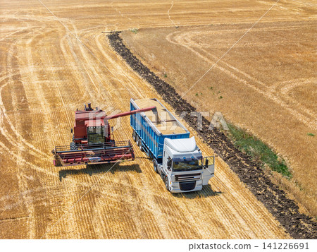 Rural agriculture scene with combine harvester Rural agriculture scene with combine harvester 141226691