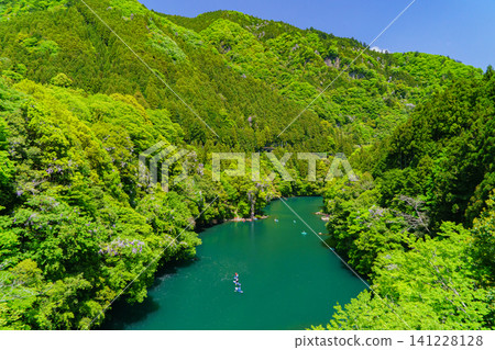 Fresh green of Okutama Fresh green of Okutama 141228128