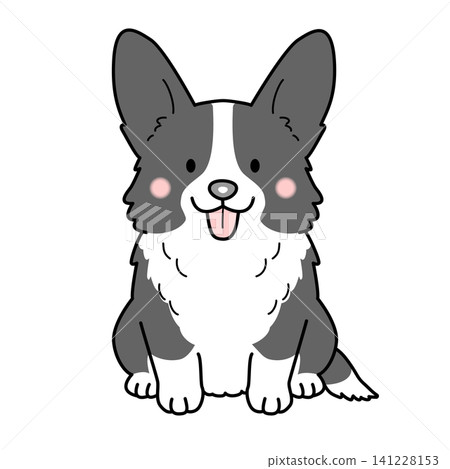 柯基犬（穿著開襟衫）（全身像）向量圖 141228153