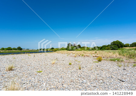 A walk along the Tama River under a clear spring sky in Somechi, Chofu City, Tokyo. A walk along the Tama River under a clear spring sky in Somechi, Chofu City, Tokyo. 141228949