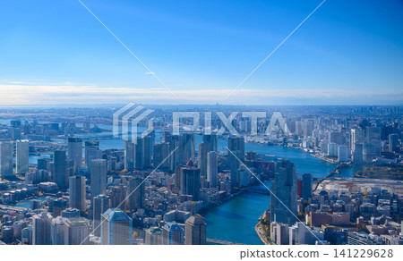 從空中俯瞰,一座摩天大樓林立的城市 從空中俯瞰,一座摩天大樓林立的城市 141229628