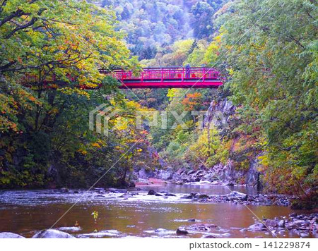 Futami Suspension Bridge in late autumn Futami Suspension Bridge in late autumn 141229874
