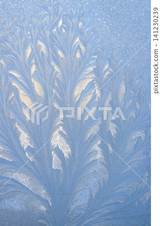 Frost pattern on a frozen window at winter. Natural background, texture Frost pattern on a frozen window at winter. Natural background, texture 141230239