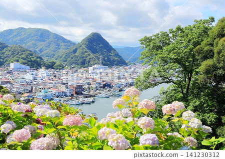 Hydrangeas at Shimoda Hydrangea Park Hydrangeas at Shimoda Hydrangea Park 141230312