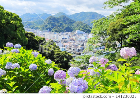 Hydrangeas at Shimoda Hydrangea Park 141230323