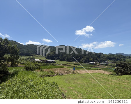 A lush, natural rural landscape unfolds in the foothills of early summer. A lush, natural rural landscape unfolds in the foothills of early summer. 141230511