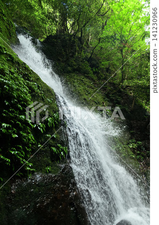 Shimizu Falls (Makioyama) [Makioyamacho, Izumi City, Osaka Prefecture] 141230966