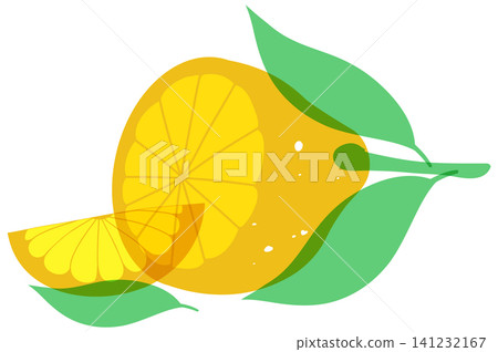 Minimalist Risograph Style Lemon Citrus Fruit Illustration with Green Leaves Minimalist Risograph Style Lemon Citrus Fruit Illustration with Green Leaves 141232167