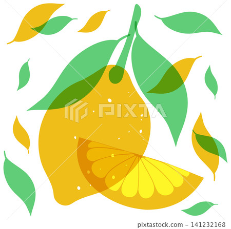 Minimalist Risograph Illustration of a Whole Lemon and Citrus Slice with Leaves 141232168