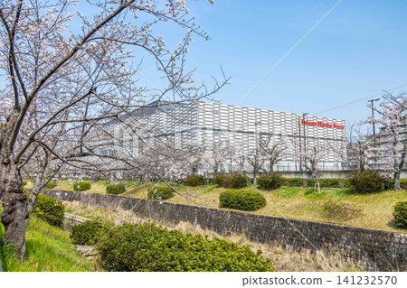 Paloma Mizuho Arena as seen along the Yamazaki River, where cherry blossoms are in bloom. Paloma Mizuho Arena as seen along the Yamazaki River, where cherry blossoms are in bloom. 141232570