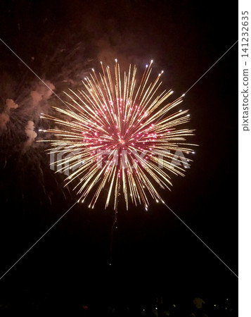 A single firework A single firework 141232635