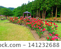 Roses in full bloom Roses Higashizawa Rose Park 141232688