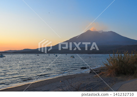 櫻花島 櫻花島 141232710