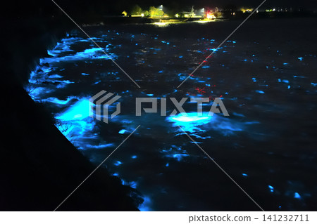 深夜昆蟲 深夜昆蟲 141232711