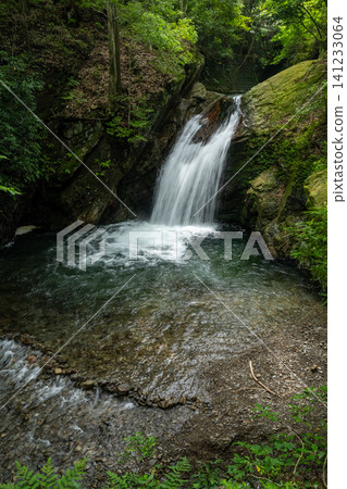 The sound of a waterfall echoes through the deep green forest. The sound of a waterfall echoes through the deep green forest. 141233064