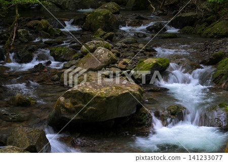 The sparkling white cascade of the mountain stream The sparkling white cascade of the mountain stream 141233077