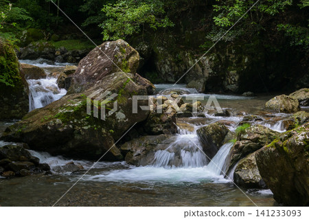 A cool, refreshing stream flows through the valley amidst the fresh greenery. A cool, refreshing stream flows through the valley amidst the fresh greenery. 141233093
