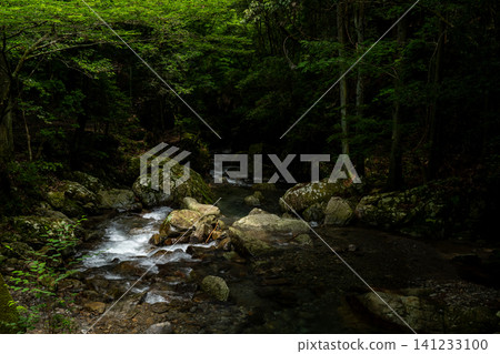 A paradise of dazzling young leaves and mountain streams A paradise of dazzling young leaves and mountain streams 141233100