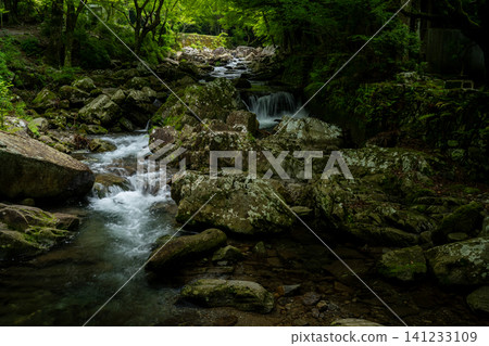 A clear stream flows through the rocks. A clear stream flows through the rocks. 141233109