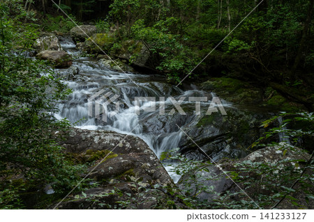 The sparkling white cascade of the mountain stream The sparkling white cascade of the mountain stream 141233127
