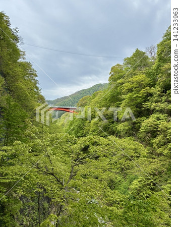 View of Kawarayu Bridge from Koyasu Gorge View of Kawarayu Bridge from Koyasu Gorge 141233963