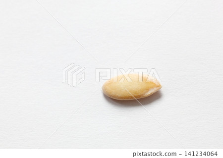 Melon seeds Melon seeds 141234064