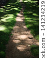 A beautiful moss-covered path with sunlight filtering through the trees. 141234219