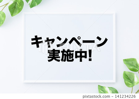 競選期間的留言板 競選期間的留言板 141234226