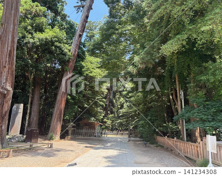 鹿島神社 - 17 鹿島神社 - 17 141234308
