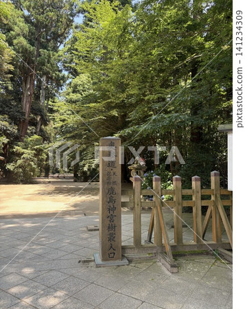 鹿島神社 - 16 鹿島神社 - 16 141234309
