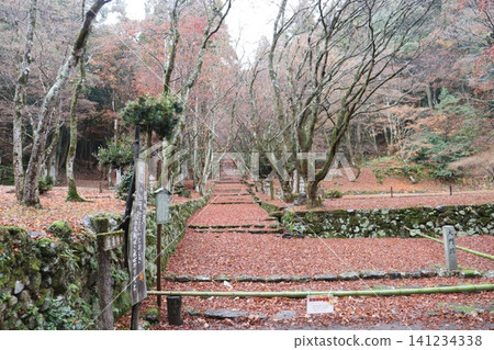 Autumn foliage at Keisokuji Temple in Kinomoto-cho, Nagahama City, Shiga Prefecture Autumn foliage at Keisokuji Temple in Kinomoto-cho, Nagahama City, Shiga Prefecture 141234338