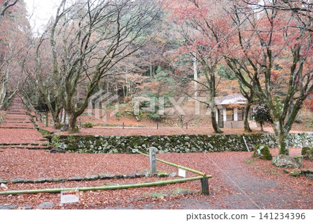 Autumn foliage at Keisokuji Temple in Kinomoto-cho, Nagahama City, Shiga Prefecture Autumn foliage at Keisokuji Temple in Kinomoto-cho, Nagahama City, Shiga Prefecture 141234396