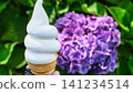 Hydrangea flowers and ice cream 141234514